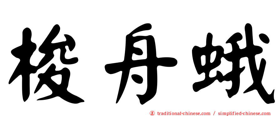 梭舟蛾