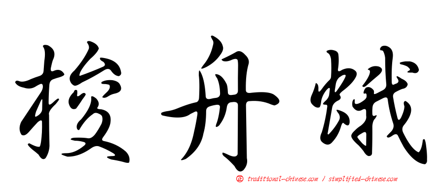 梭舟蛾