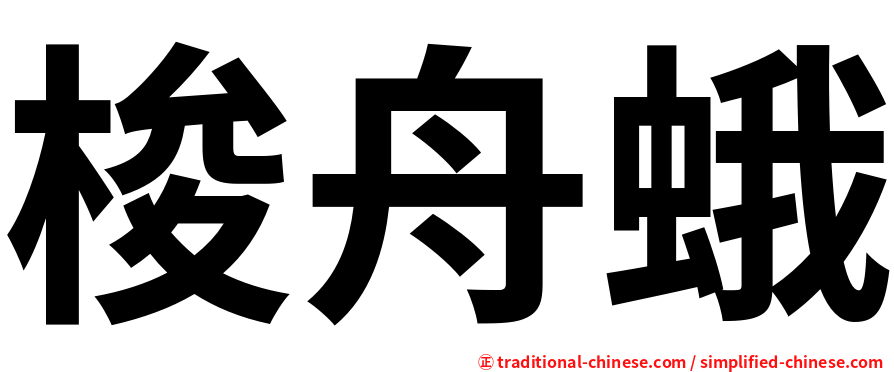 梭舟蛾