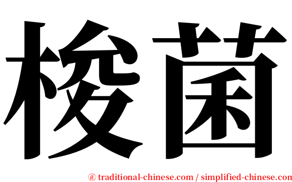梭菌 serif font