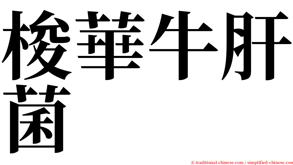 梭華牛肝菌 serif font
