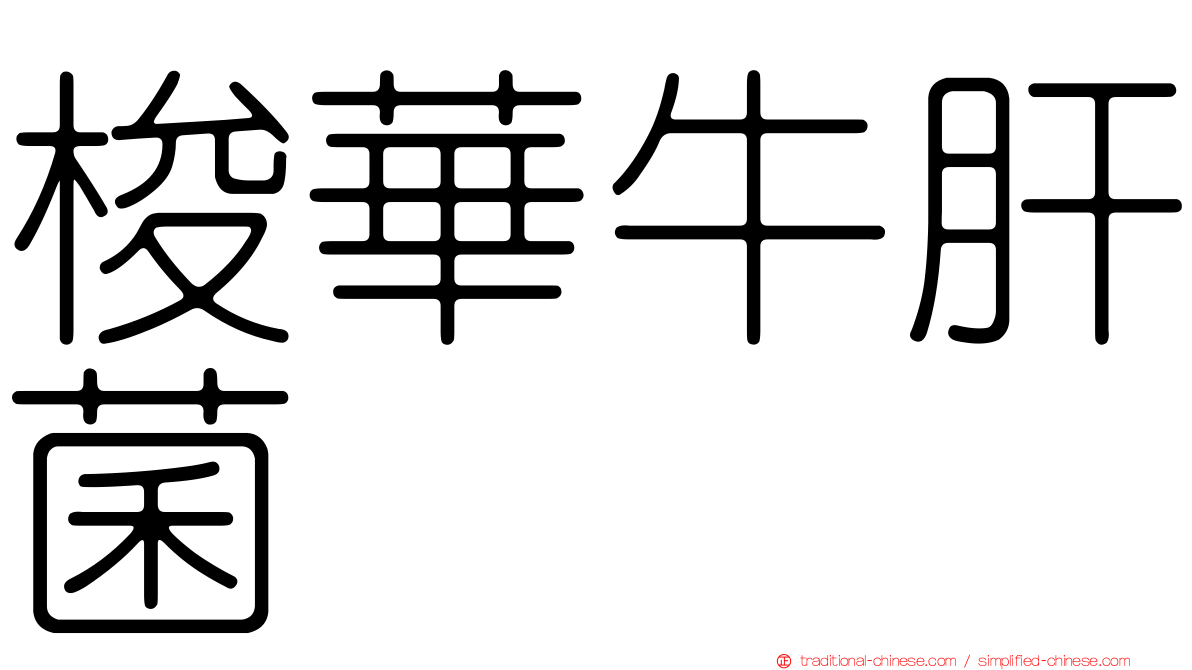 梭華牛肝菌