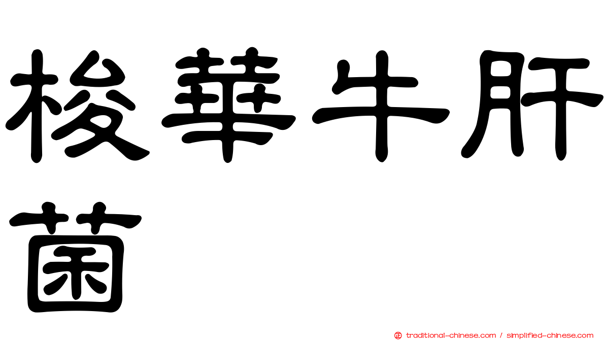 梭華牛肝菌
