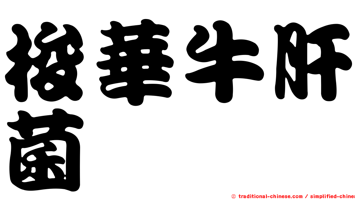 梭華牛肝菌