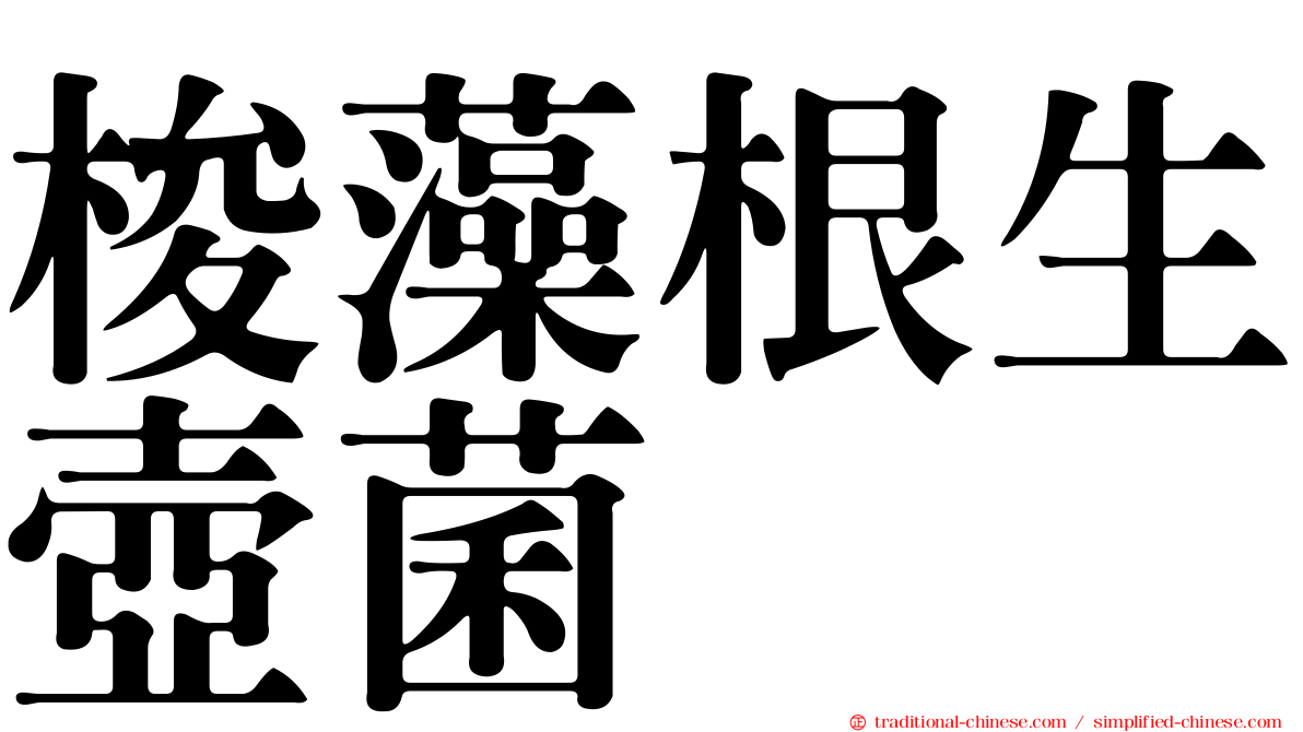 梭藻根生壺菌