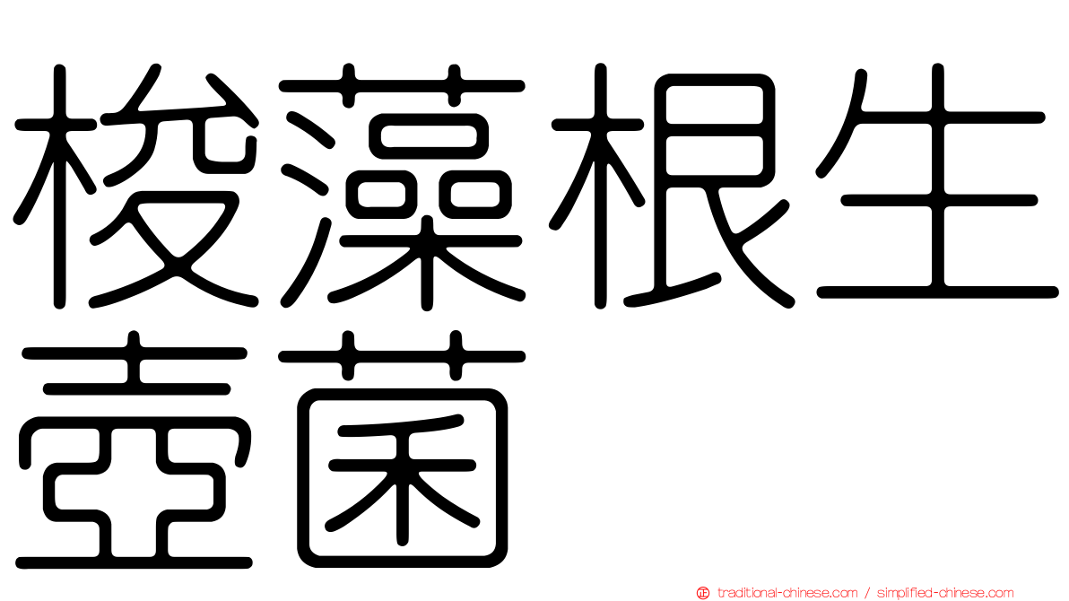 梭藻根生壺菌