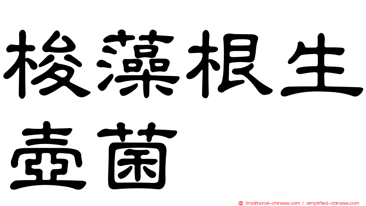 梭藻根生壺菌