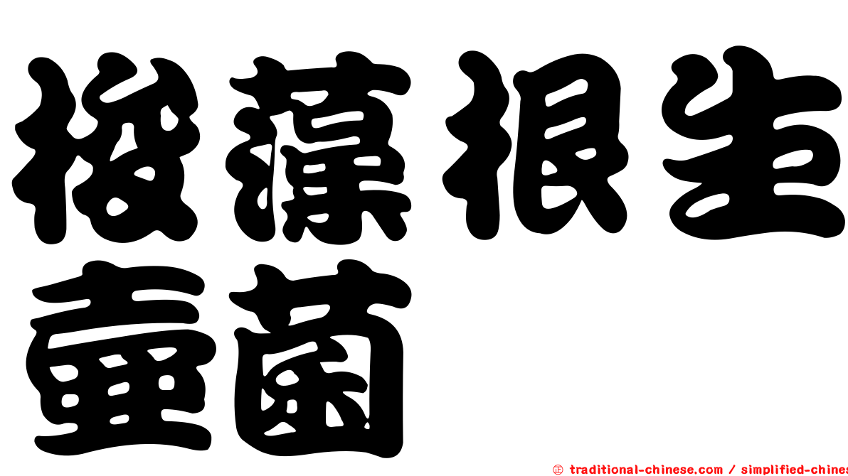 梭藻根生壺菌