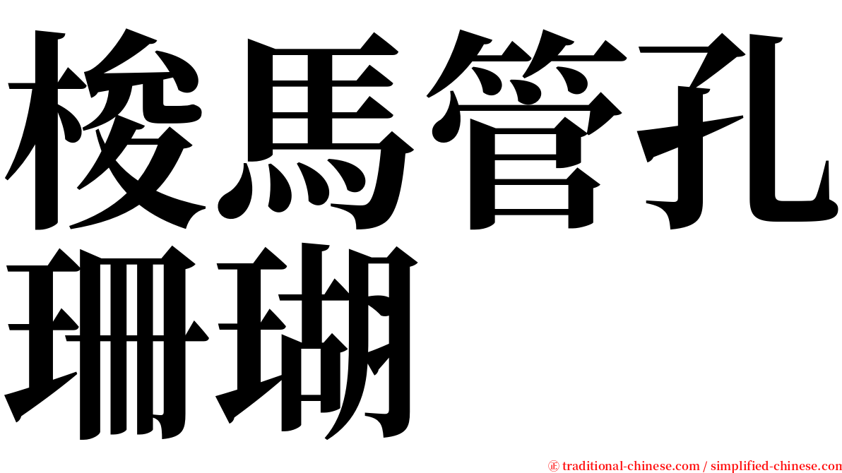 梭馬管孔珊瑚 serif font