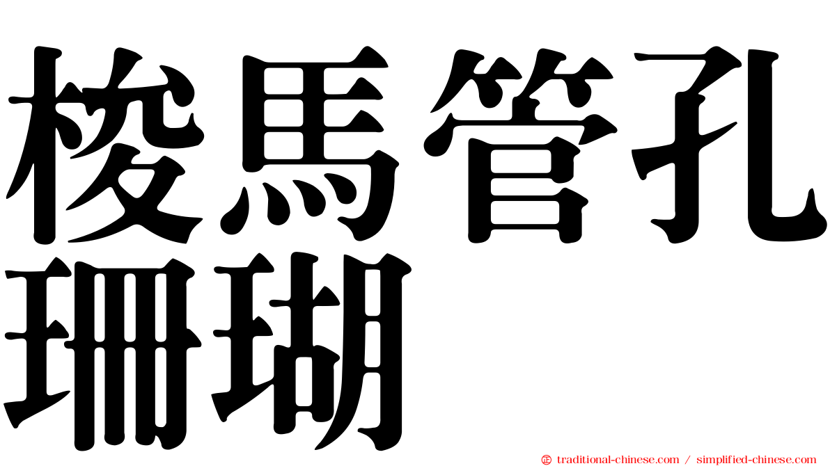 梭馬管孔珊瑚
