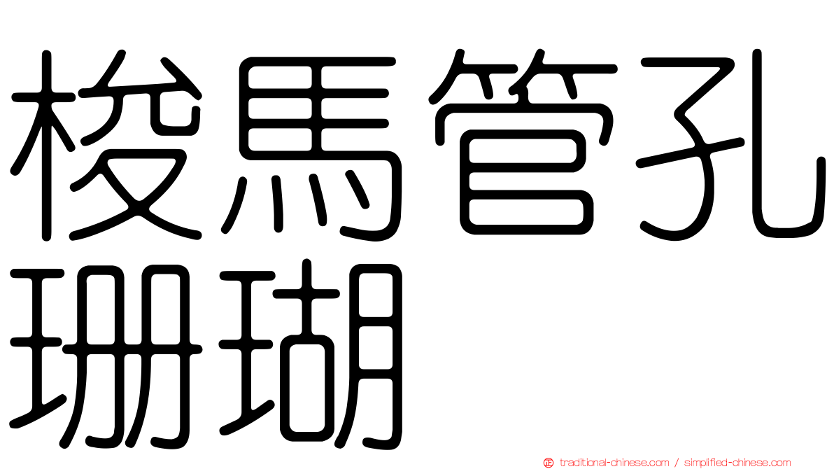 梭馬管孔珊瑚