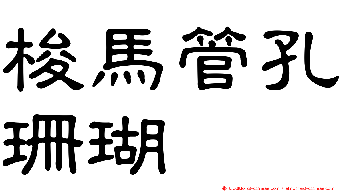 梭馬管孔珊瑚