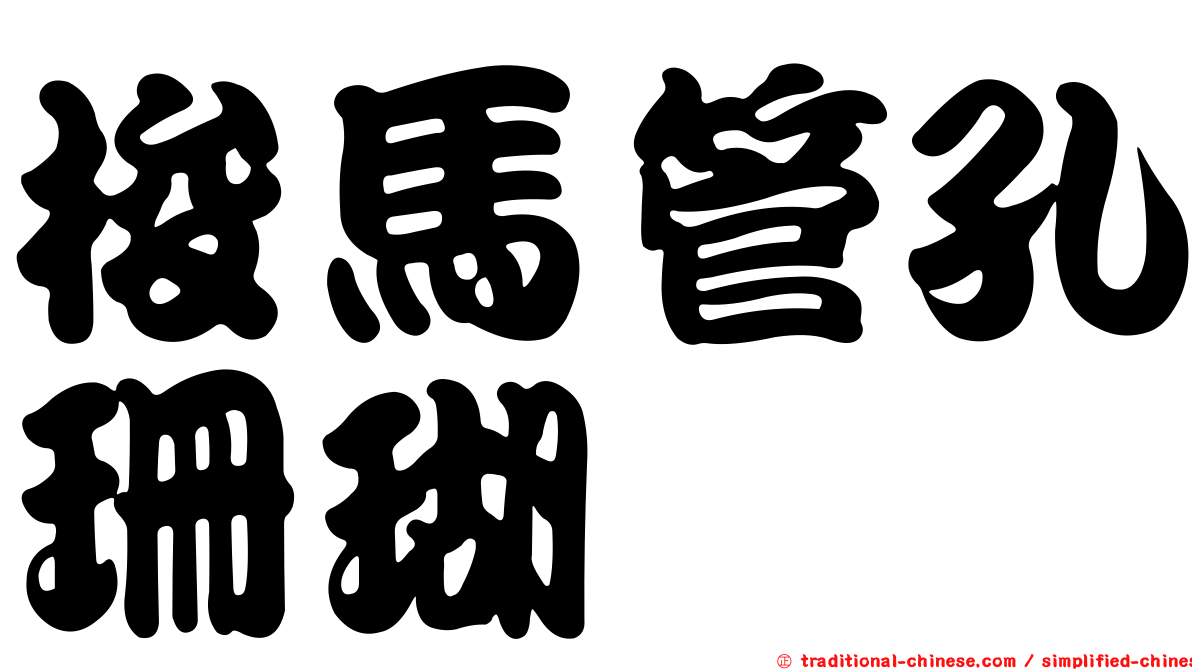 梭馬管孔珊瑚