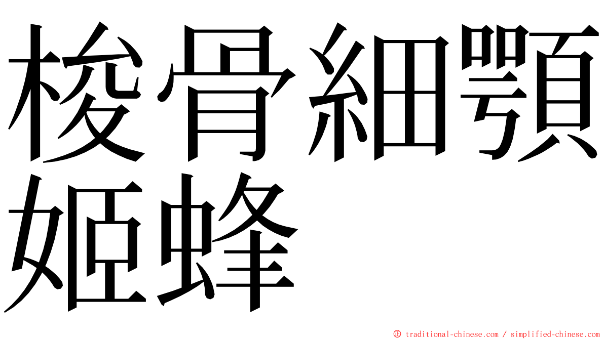 梭骨細顎姬蜂 ming font