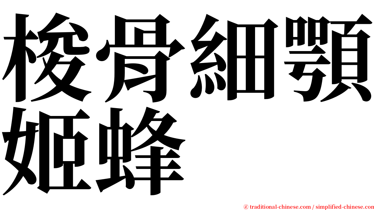 梭骨細顎姬蜂 serif font