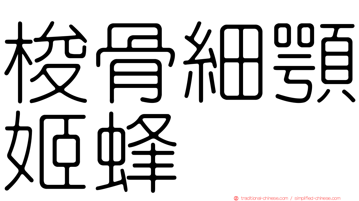 梭骨細顎姬蜂