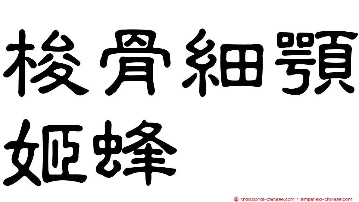 梭骨細顎姬蜂