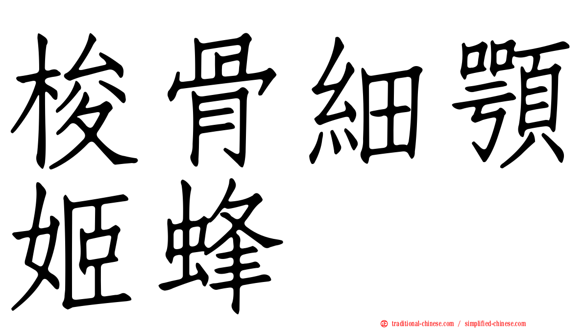 梭骨細顎姬蜂