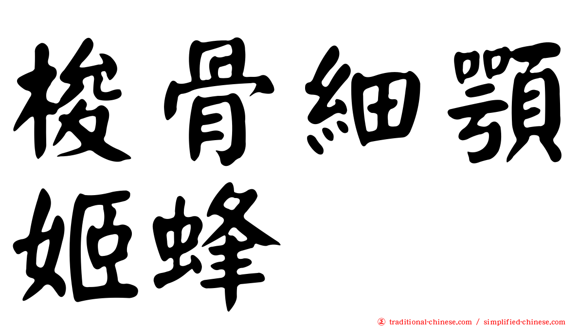 梭骨細顎姬蜂