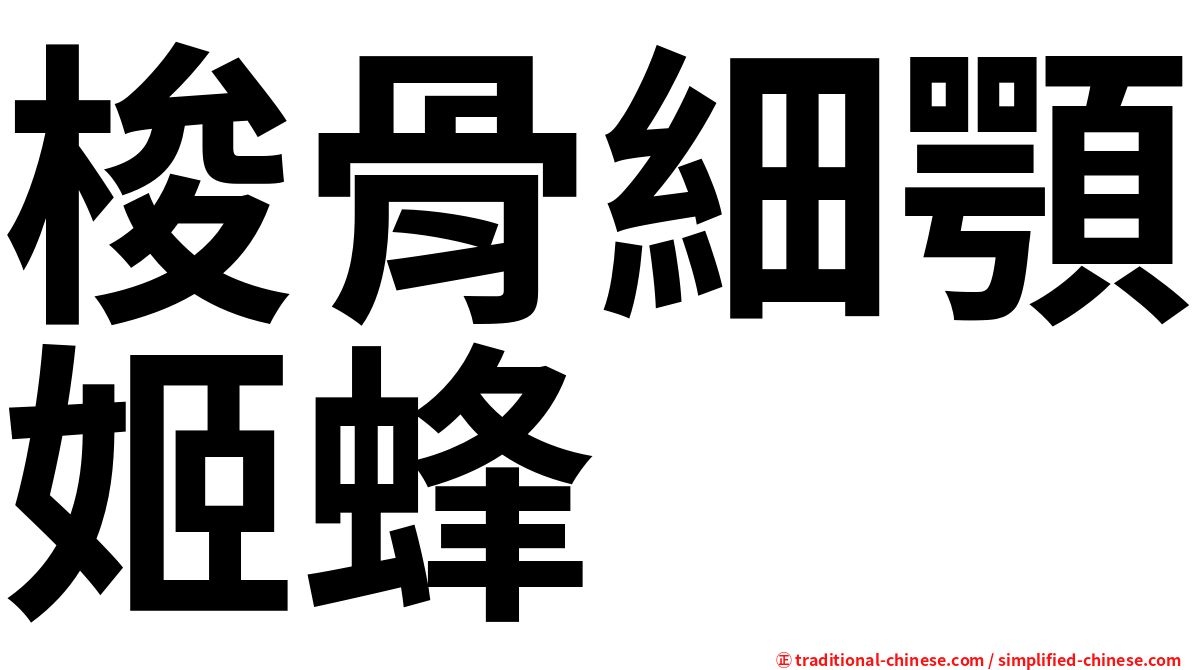 梭骨細顎姬蜂