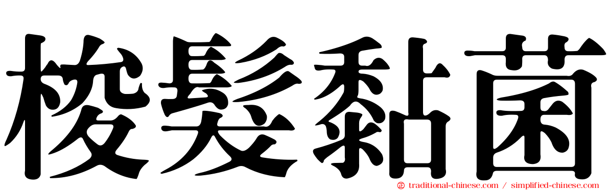 梭髮黏菌