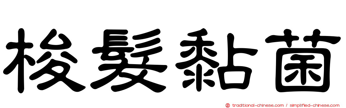 梭髮黏菌