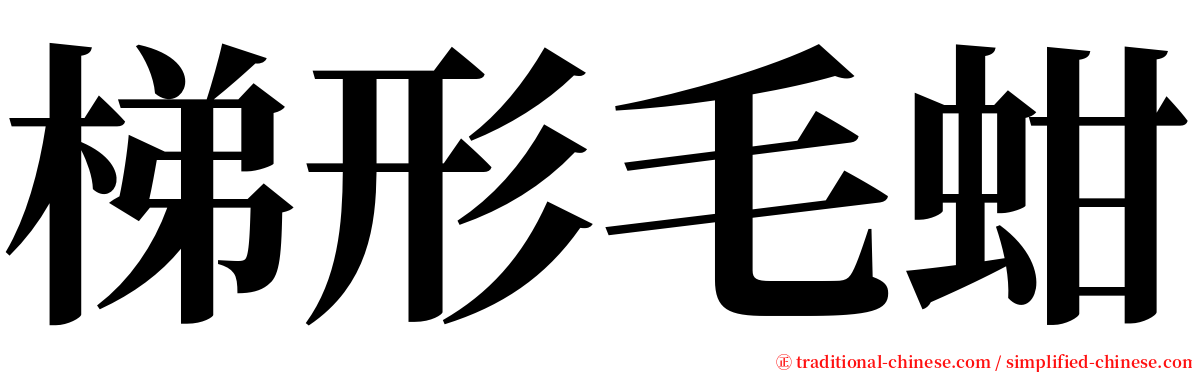 梯形毛蚶 serif font