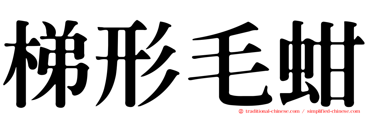 梯形毛蚶