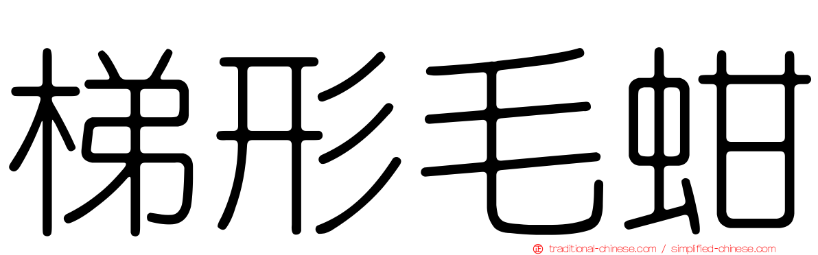 梯形毛蚶