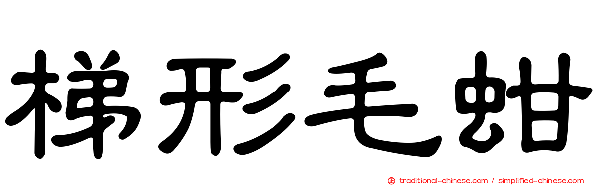 梯形毛蚶