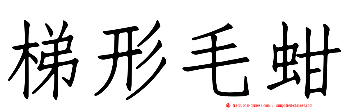 梯形毛蚶