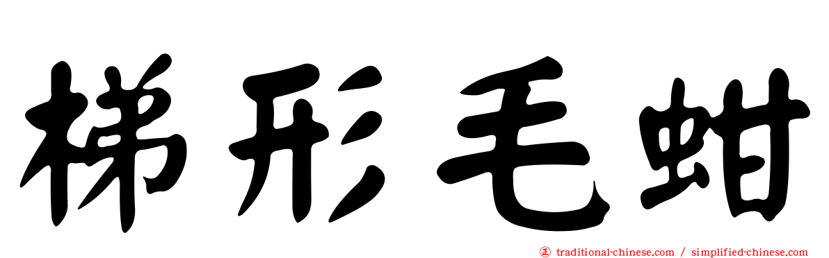 梯形毛蚶