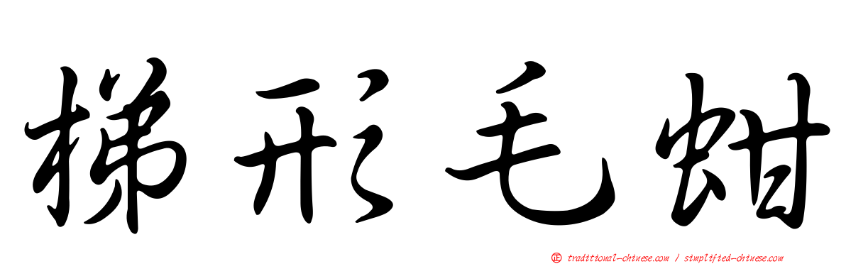 梯形毛蚶
