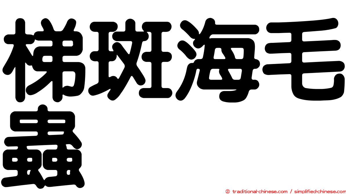 梯斑海毛蟲