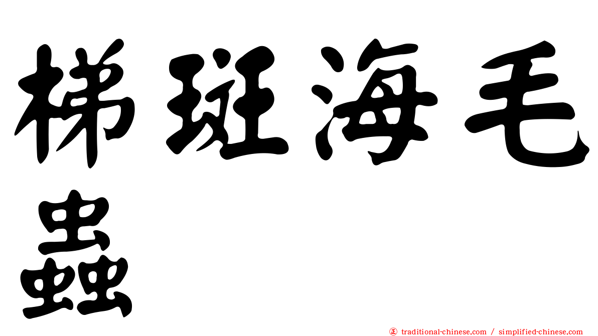 梯斑海毛蟲