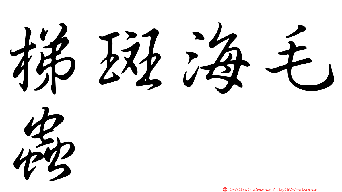 梯斑海毛蟲