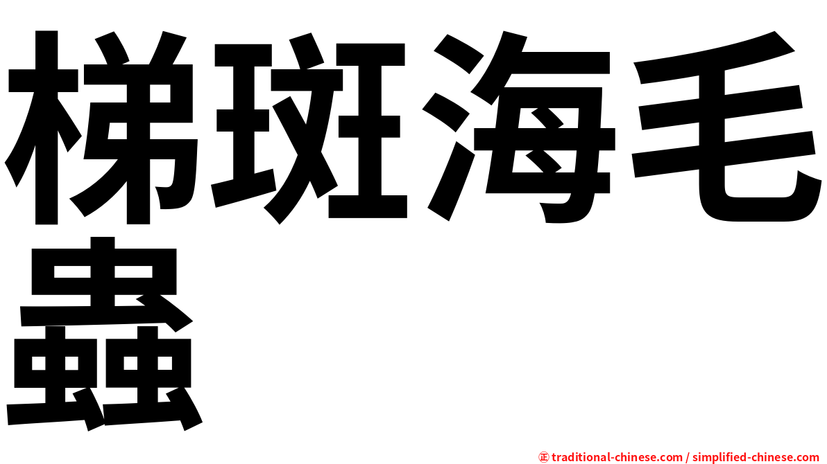 梯斑海毛蟲