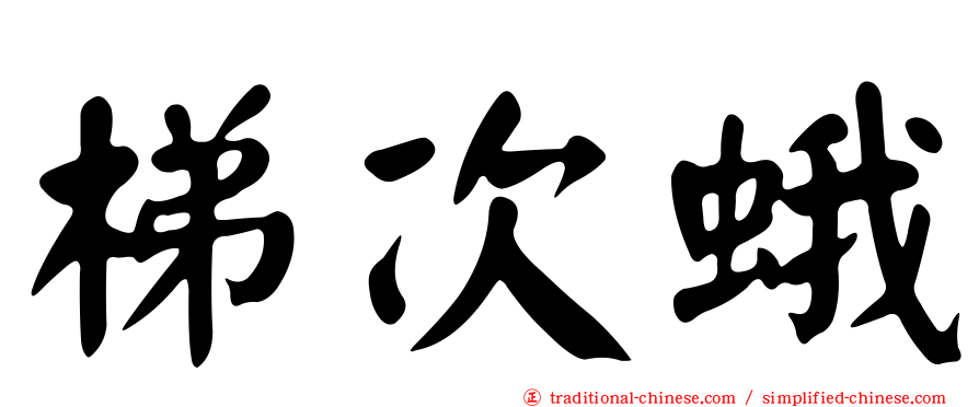 梯次蛾