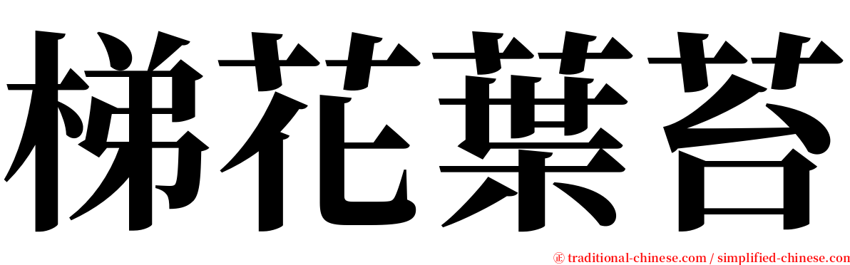 梯花葉苔 serif font