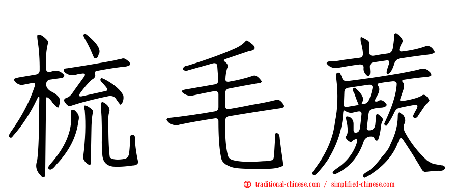 梳毛蕨