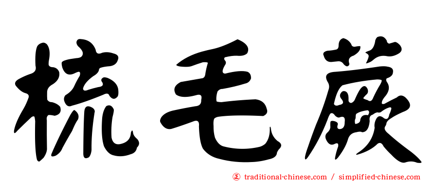 梳毛蕨