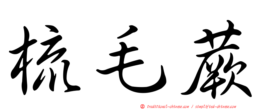 梳毛蕨