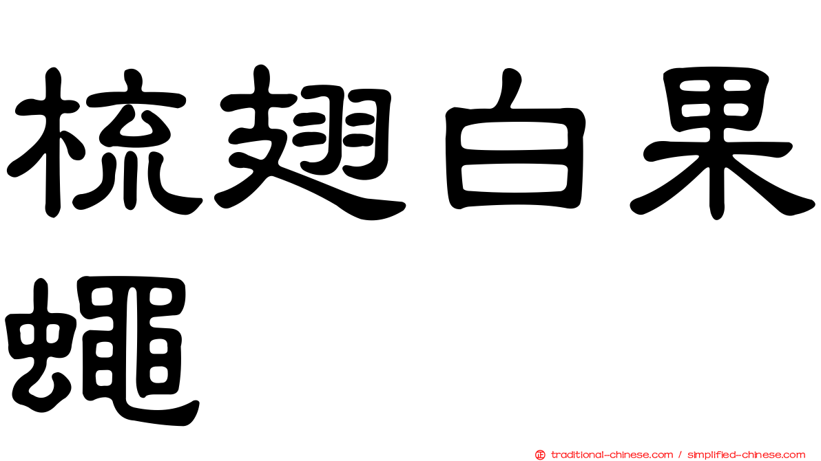 梳翅白果蠅