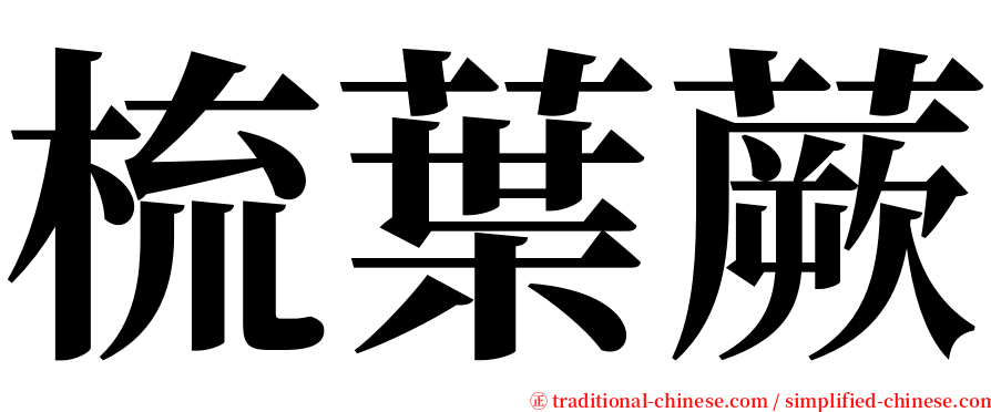 梳葉蕨 serif font
