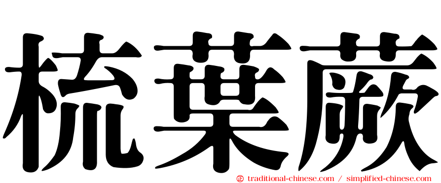 梳葉蕨