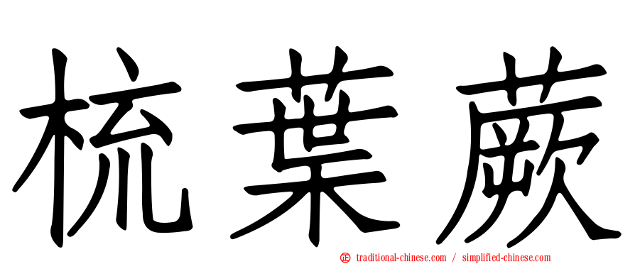 梳葉蕨