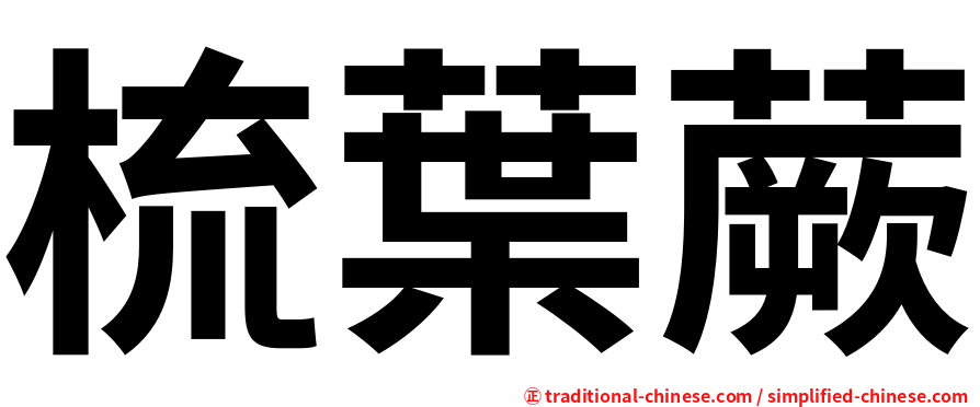 梳葉蕨