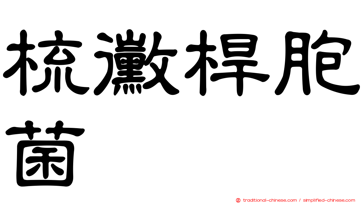 梳黴桿胞菌