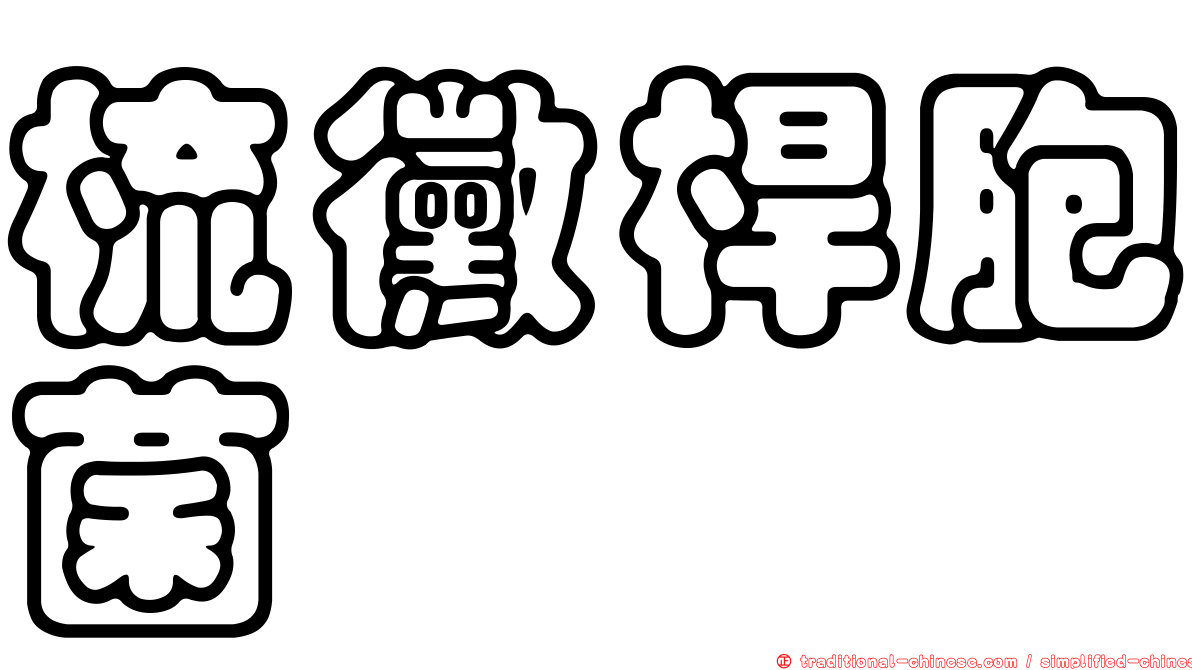 梳黴桿胞菌