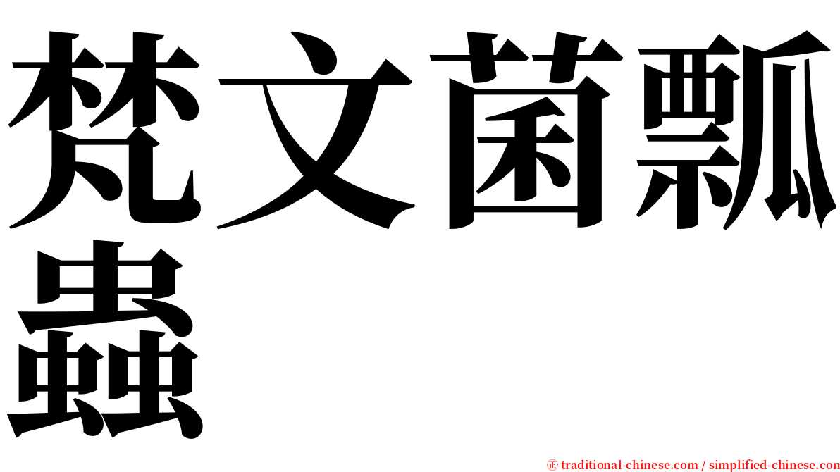 梵文菌瓢蟲 serif font